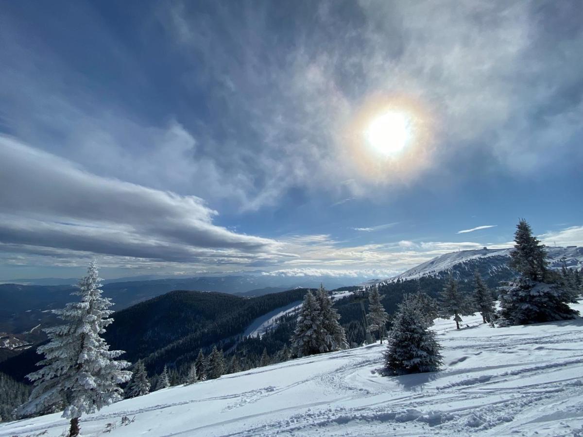 Ski & Spa Apartment S20 Milmari Resort Kopaonik Eksteriør bilde