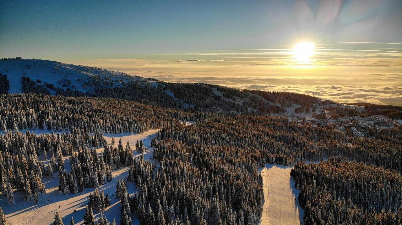 Ski & Spa Apartment S20 Milmari Resort Kopaonik Eksteriør bilde