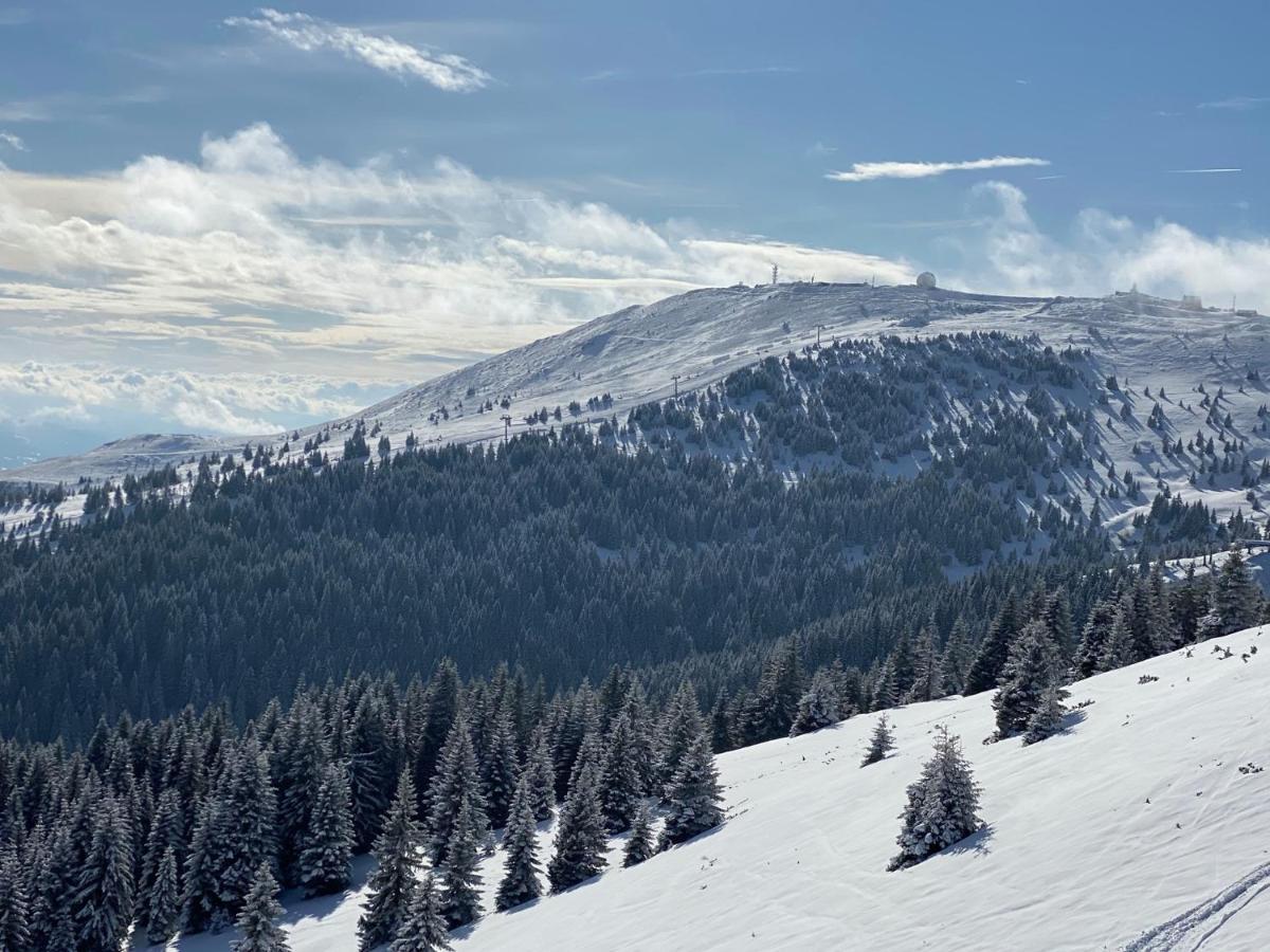 Ski & Spa Apartment S20 Milmari Resort Kopaonik Eksteriør bilde