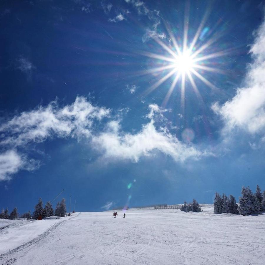 Ski & Spa Apartment S20 Milmari Resort Kopaonik Eksteriør bilde