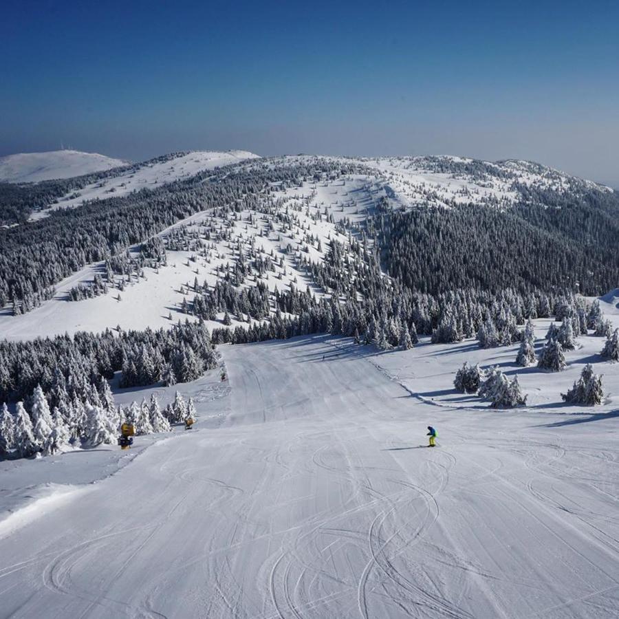 Ski & Spa Apartment S20 Milmari Resort Kopaonik Eksteriør bilde