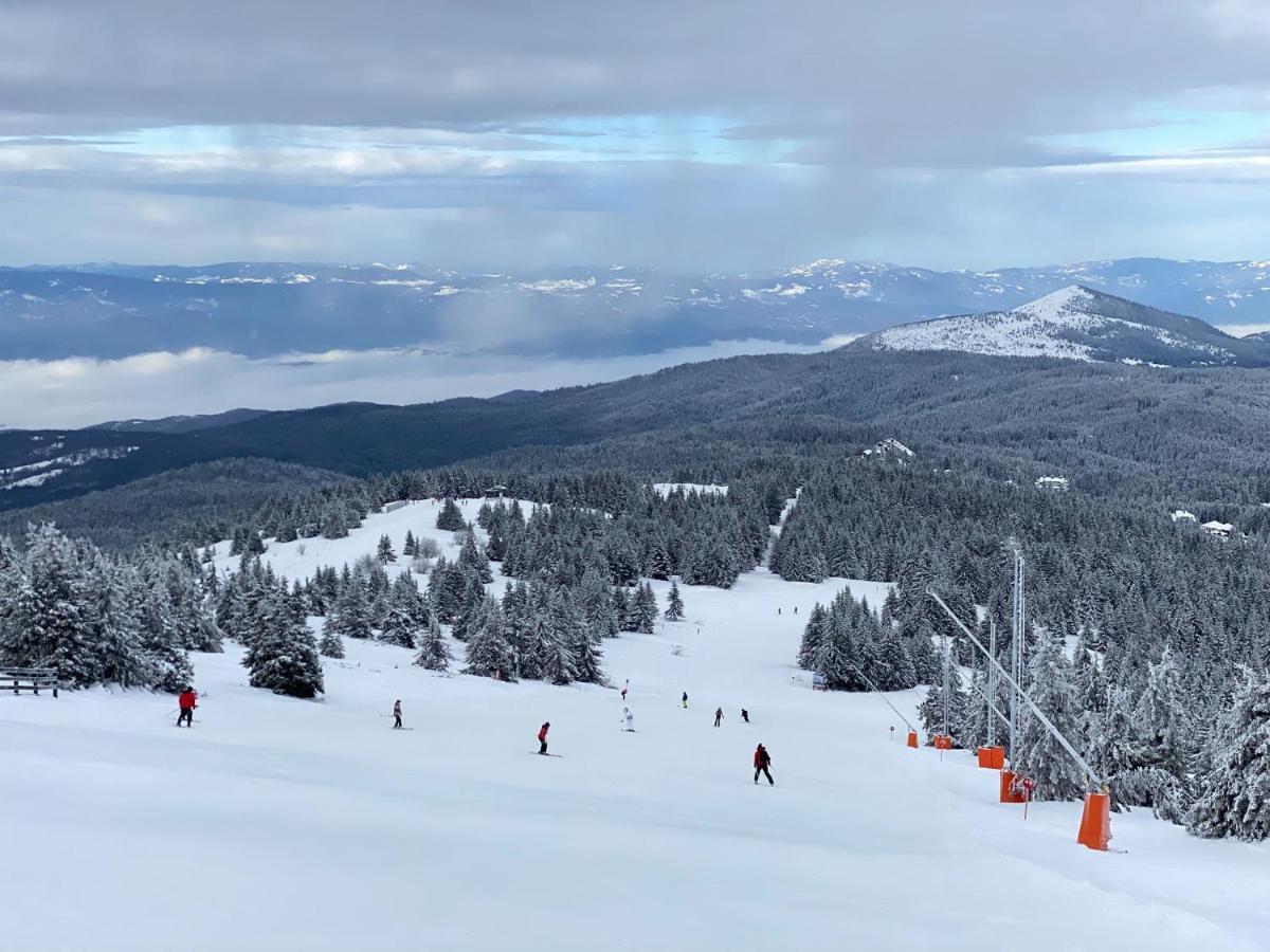Ski & Spa Apartment S20 Milmari Resort Kopaonik Eksteriør bilde