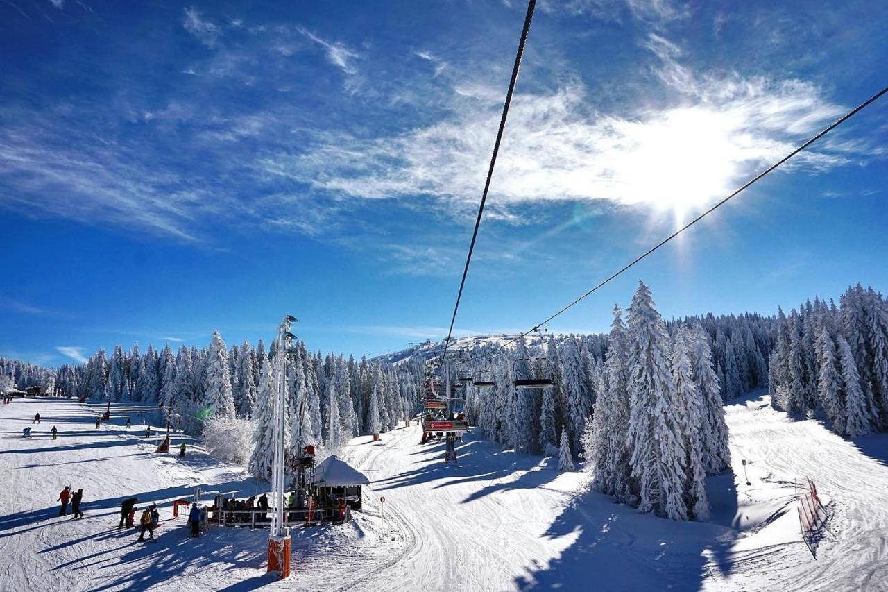 Ski & Spa Apartment S20 Milmari Resort Kopaonik Eksteriør bilde